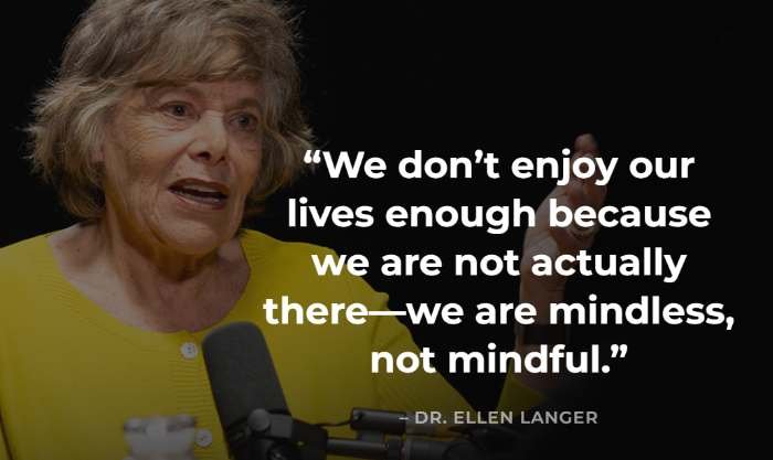 mindless vs mindful